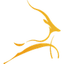 hva
